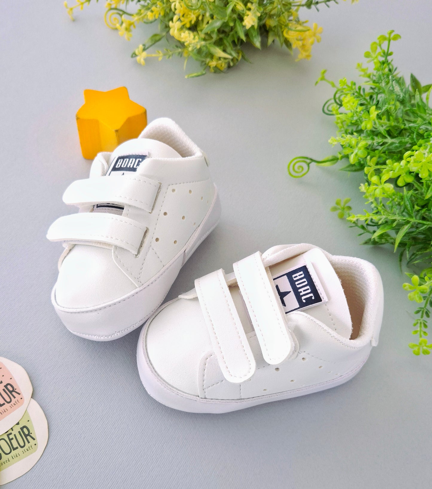The Ice Shoes